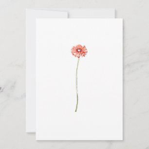 Carte d'invitation Fleur de Gerbera Rouge Pâle