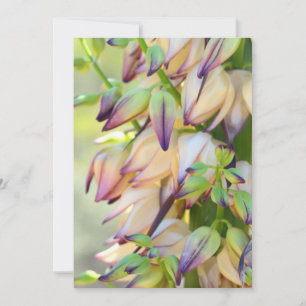 carte d'invitation fleurs d'Yucca