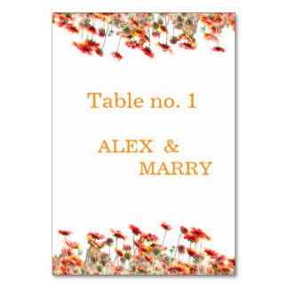 Carte d'invitation Mariage Anniversaire Baby Showe