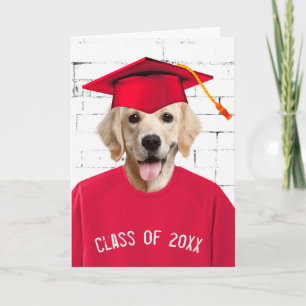 Carte Diplômé Golden Retriever avec Casquette rouge