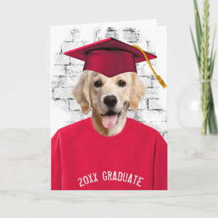 Carte diplôme golden retriever en t-shirt rouge