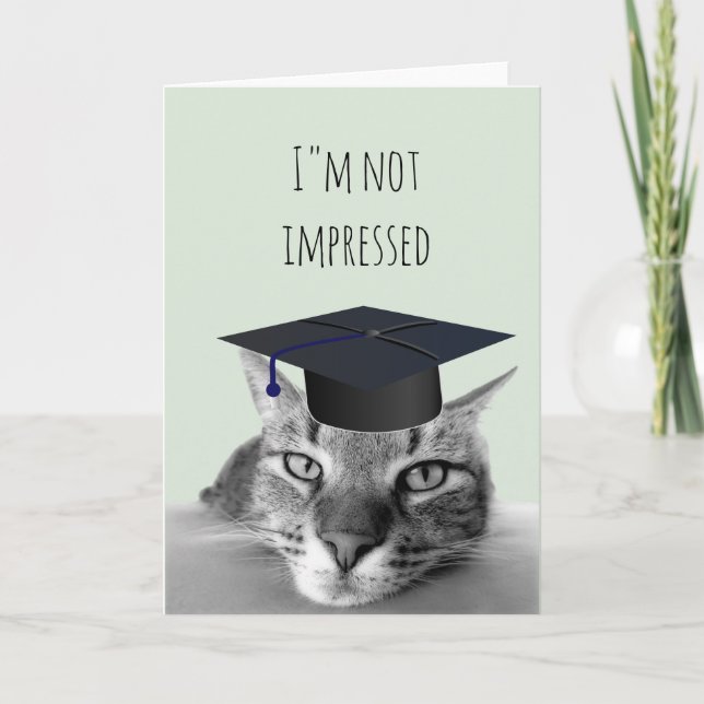 Carte Diplômé Pas Impressionné Colère Humour de Chat (Devant)