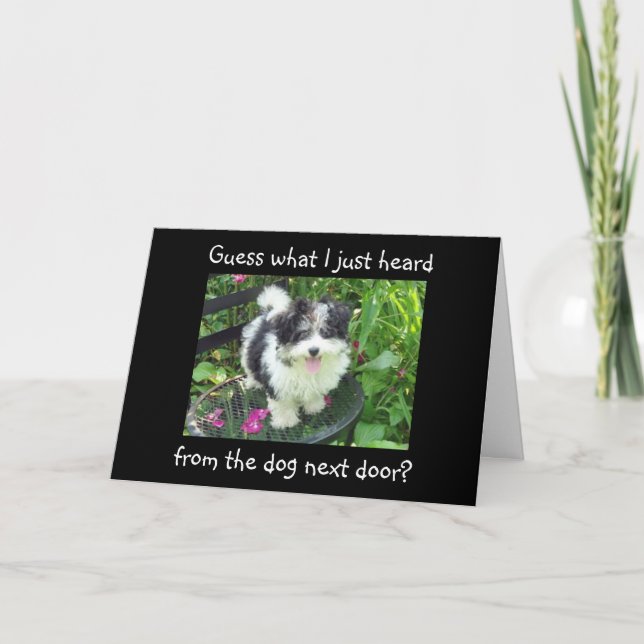 CARTE DIPLÔMÉS DU CHIEN À CÔTÉ (Devant)