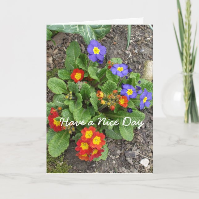 Carte Disposer d'un beau lit à fleurs mélangé à la journ (Devant)