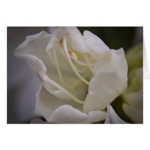 Carte divine d'énergie