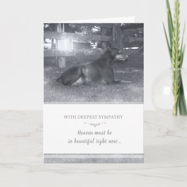 Carte Doberman Sympathy Card (Devant)