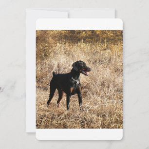 Carte Dobermann_Bruno.png