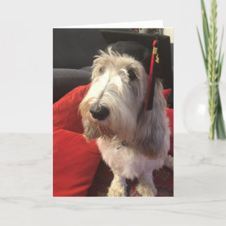 Carte d'obtention du diplôme de chien