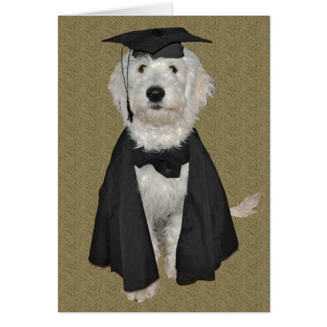 Carte d'obtention du diplôme de Goldendoodle (Devant)