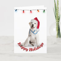 Docteur Retrior du Labrador Christmas