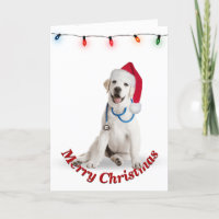 Docteur Retrior du Labrador Christmas
