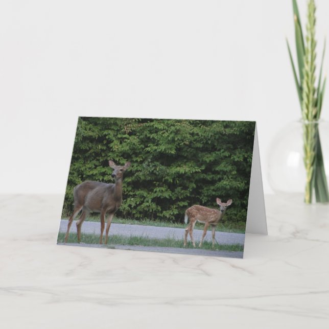 Carte Doe & Fawn (Devant)