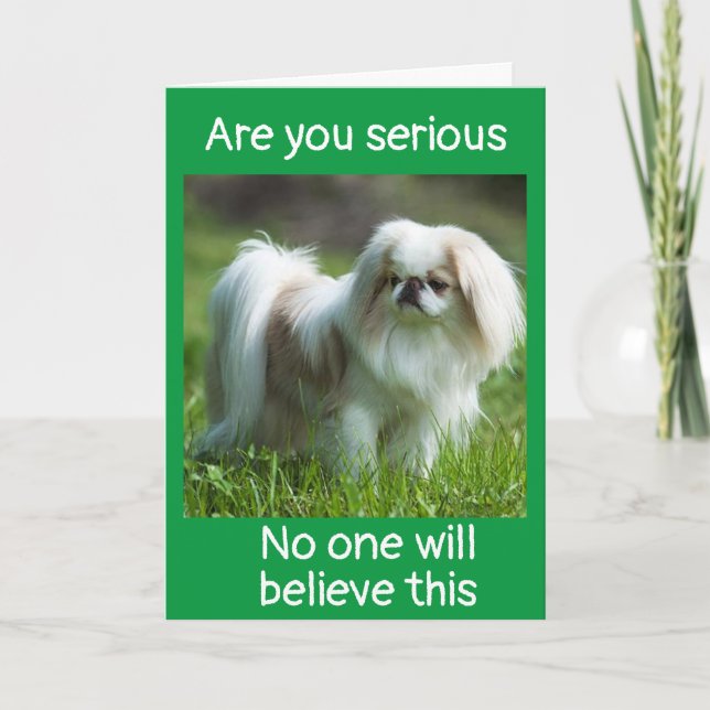 CARTE DOG DIT *FÉLICITATIONS POUR VOTRE *PROMOTION* (Devant)