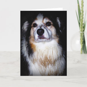 Carte Doggie de Digger