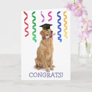 Carte Doggone Merveilleux Diplôme
