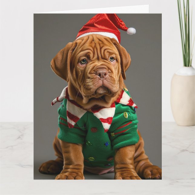 Carte Dogue de Bordeaux Elf Puppy Christmas Card (Devant)