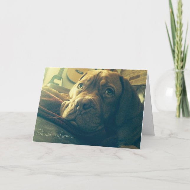 Carte Dogue de Bordeaux Pensez à vous (Devant)