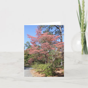 CARTE DOGWOOD D'AUTOMNE