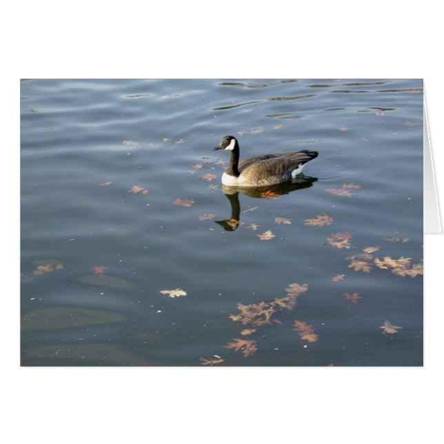 Carte d'oie d'automne (Devant horizontal)