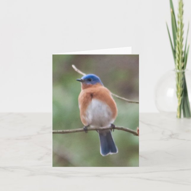 Carte d'oiseau bleu (Devant)