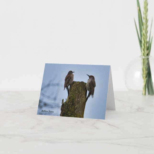 Carte d'oiseau Flicker du Nord (Devant)