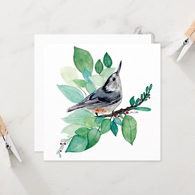 Carte d'oiseau Nuthatch à poitrine blanche (White Breasted Nuthatch Bird Card from Jenn's Emporium. )