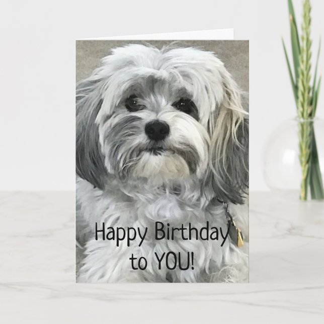 Carte DOIT ÊTRE GRAND POUR CÉLÉBRER "21ème" ANNIVERSAIRE (Devant)