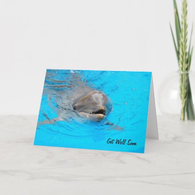 Carte Dolphin Get Well (Devant)