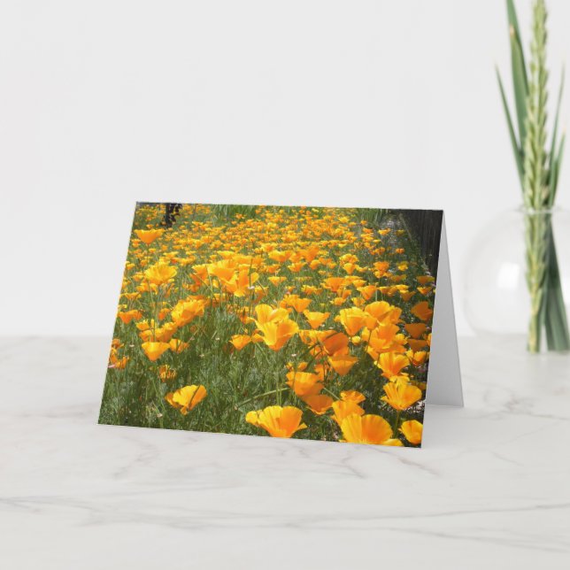 Carte Domaine des rêves (Devant)