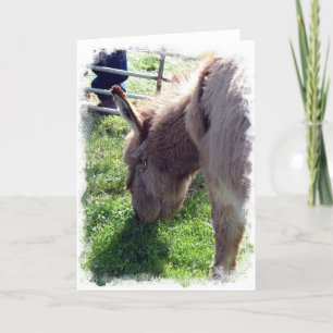 Carte Donkey