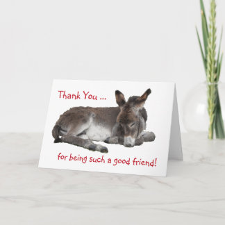Carte Donkey, ami Merci