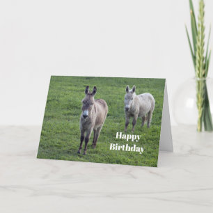 Carte Donkey Brown Tan Animal Photo Anniversaire