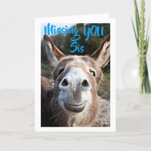 CARTE DONKEY MANSES ***SIS*** PAS TRÈS HEUREUX À CE SUJE