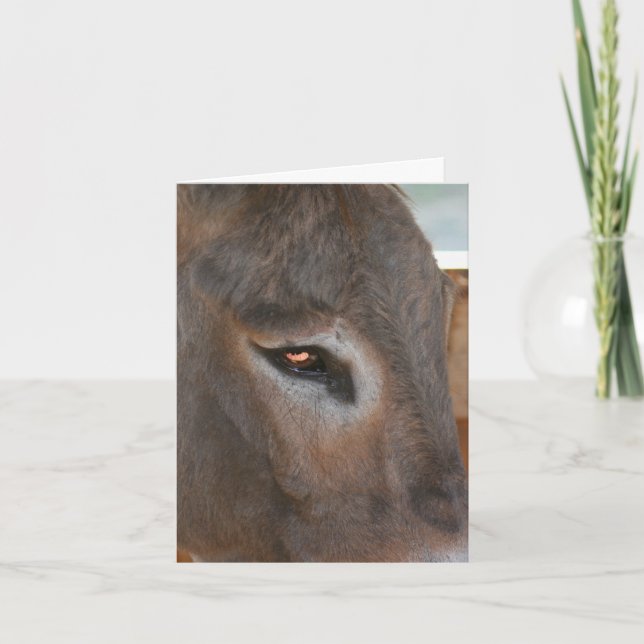Carte Donkey Thoughts Farm Animal Note (Devant)