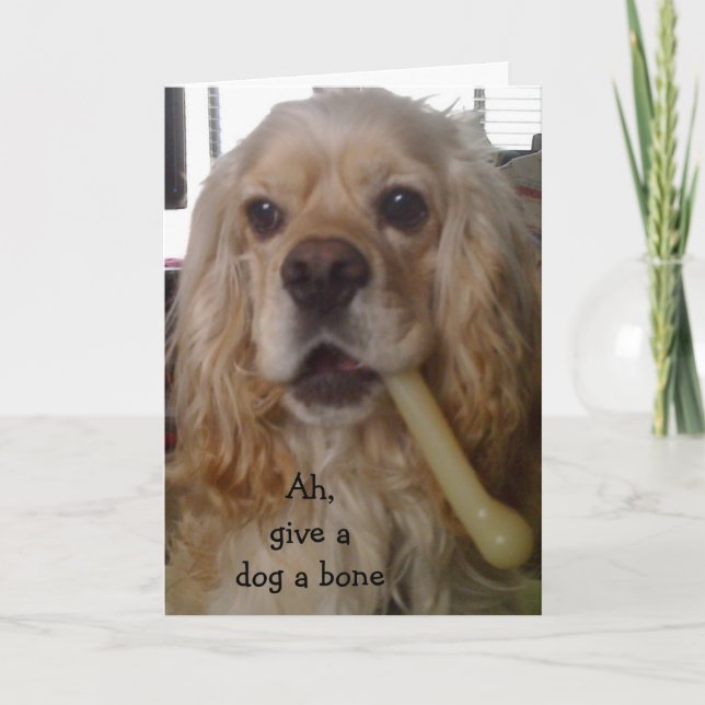 CARTE DONNEZ UN CHIEN UN OS/FAITES UN JOLI ANNIVERSAIRE  (Devant)