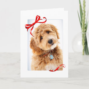 Carte Doodle Chien Noël