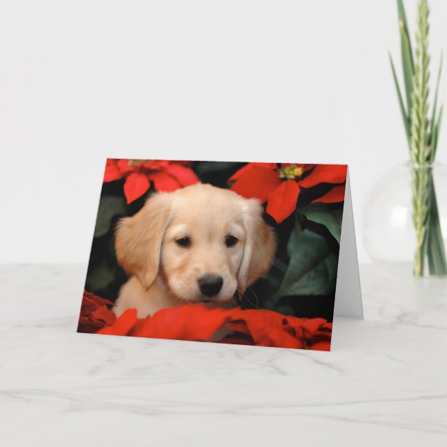 Carte d'or de chiot et de Noël de Poinsetta (Devant)