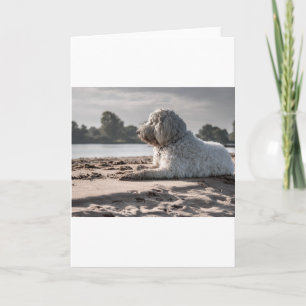 Carte doré sur la plage