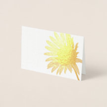 Soleil brillant