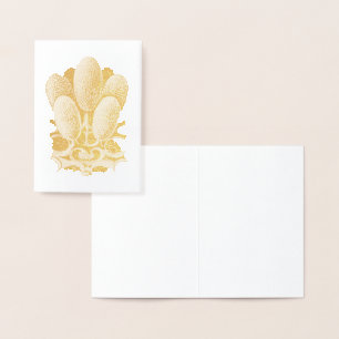 Carte Dorée Vintage Haeckel