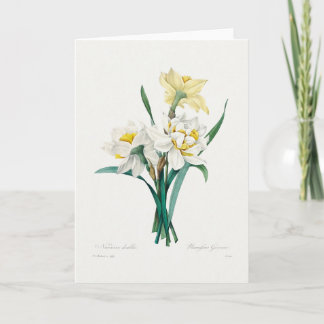 Carte Double Daffodil,  Pierre-Joseph Redouté, 1827
