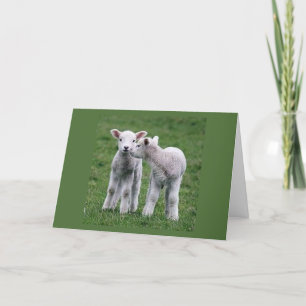 CARTE DOUBLEZ LES SOUHAITS POUR "VOTRE ANNIVERSAIRE" DE 