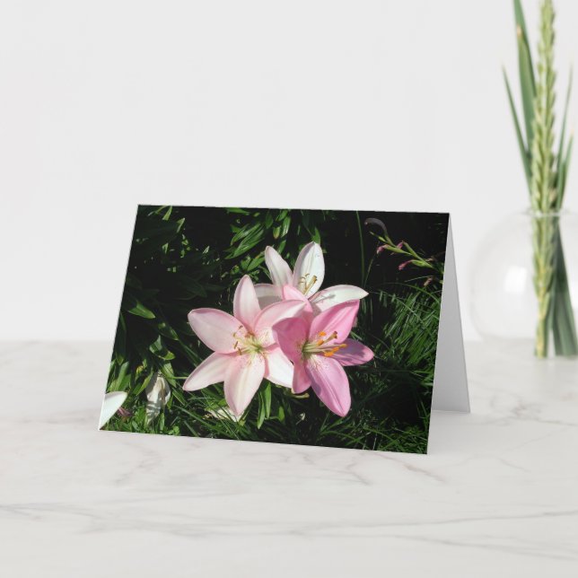 Carte Douces Lys (Devant)
