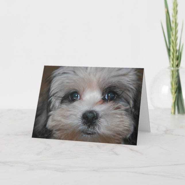 Carte Douceur personnifiée (Devant)