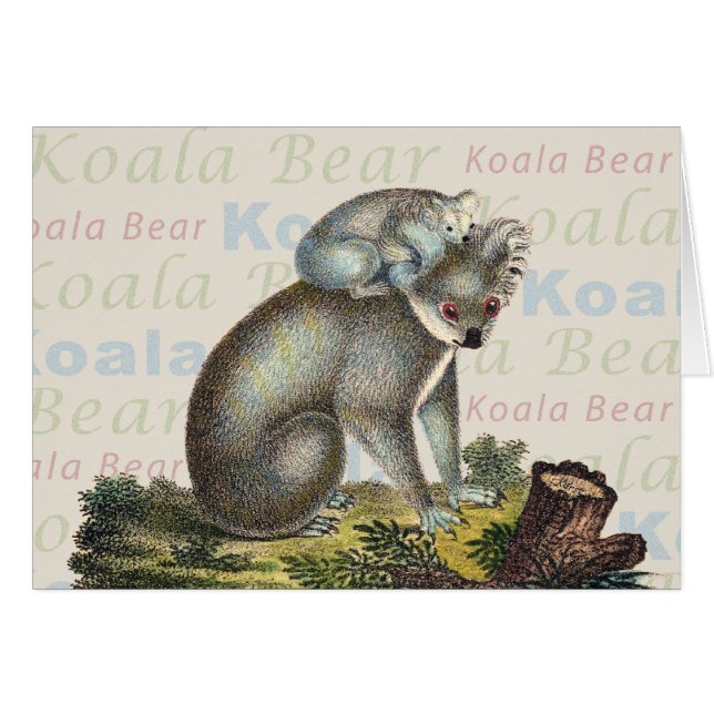 Carte d'ours de koala (Devant horizontal)