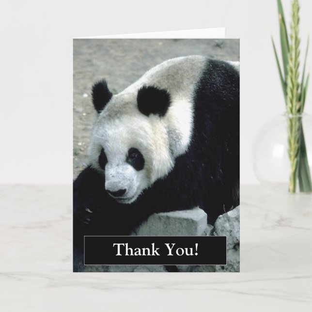 Carte d'ours panda de Merci (Devant)