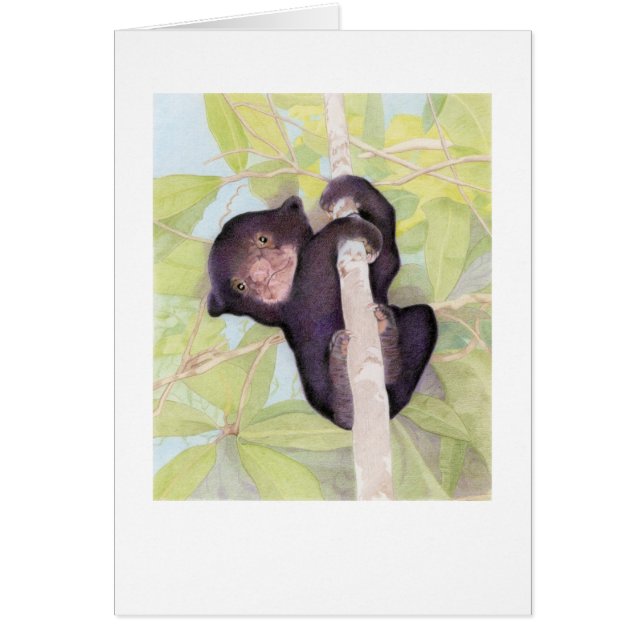 Carte d'ours Sun (Devant)
