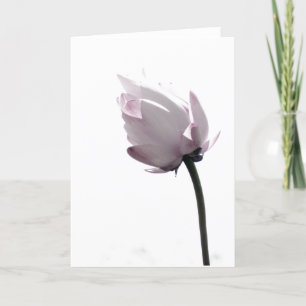 Carte Doux