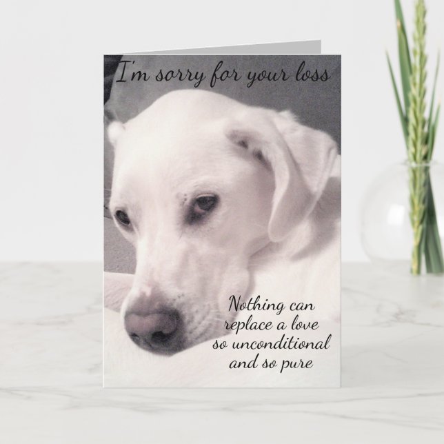 Carte Doux blanc chien gris perte de la sympathie de l'a (Devant)