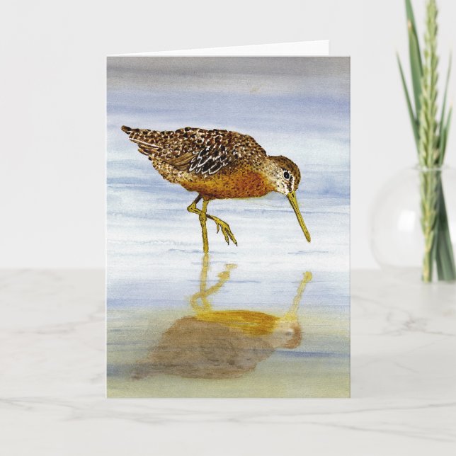 Carte Dowitcher à bec court (Devant)